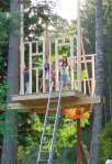 Tree House 8