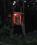 Tree House 5