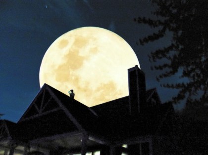 Logan Pigeon Roost 2